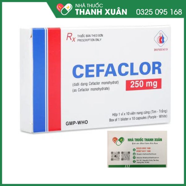 Cefaclor 250 mg thuốc háng sinh điều trị nhiễm khuẩn